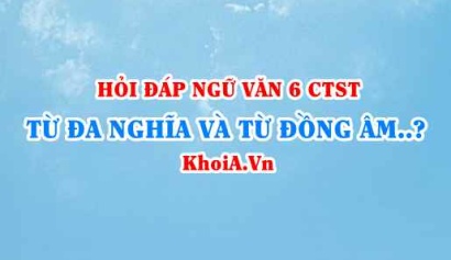 Từ đa nghĩa và từ đồng âm là gì? ví dụ từ đa nghĩa và từ đồng âm? Ngữ văn lớp 6 CTST